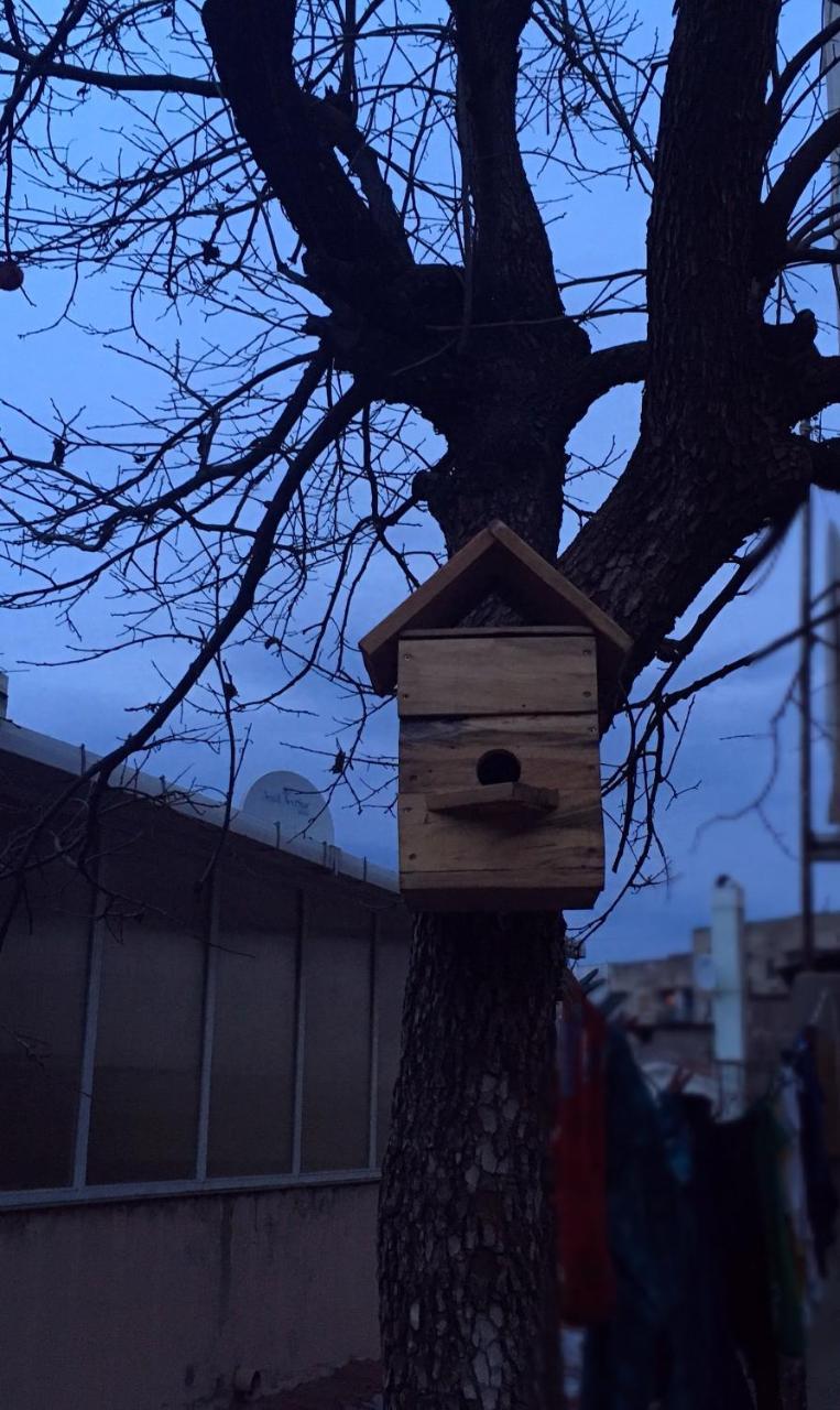 Birdhouse Rooms Tbilisi Zewnętrze zdjęcie