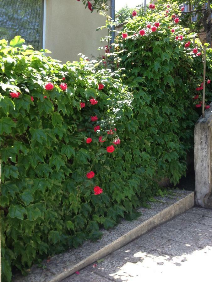 Birdhouse Rooms Tbilisi Zewnętrze zdjęcie